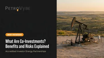 What Are Co-Investments? Benefits and Risks Explained