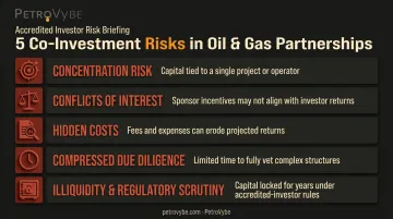 Five key risks of private equity co-investments including concentration and illiquidity
