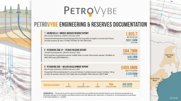 PetroVybe proved reserves engineering report and well selection track record