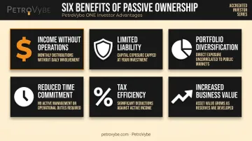 Six key advantages of passive ownership investment structure infographic