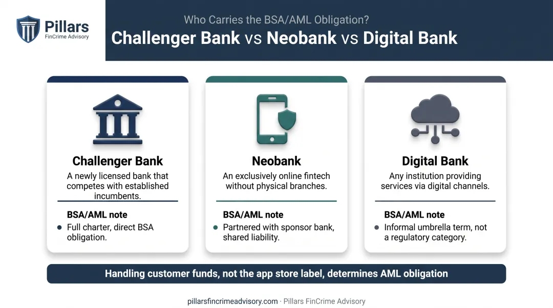 Challenger bank versus neobank versus digital bank AML responsibility comparison