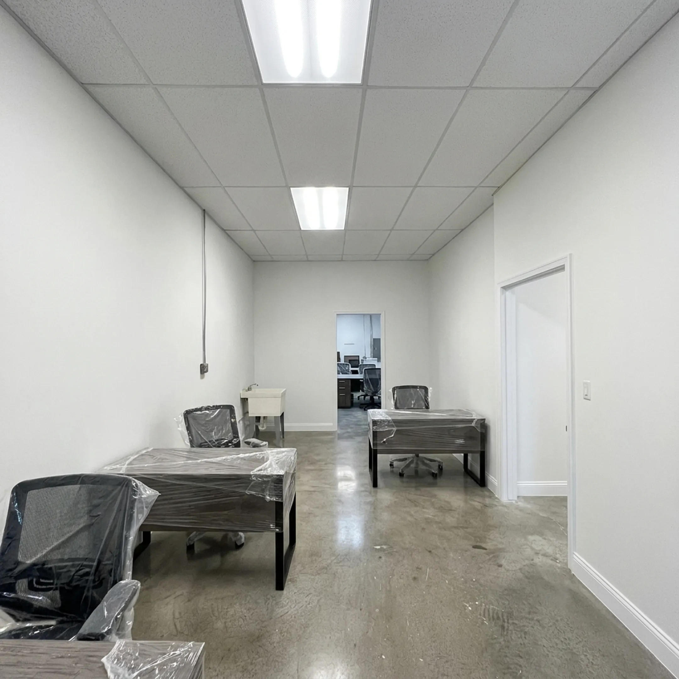 Freshly painted modern commercial office interior