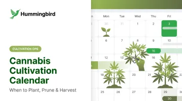 Cannabis Cultivation Calendar: When to Plant, Prune & Harvest