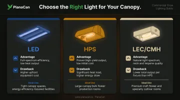 Commercial cannabis grow light types LED HPS LEC CMH comparison infographic