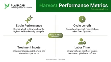 Four key cannabis harvest performance metrics driving cultivation profitability decisions