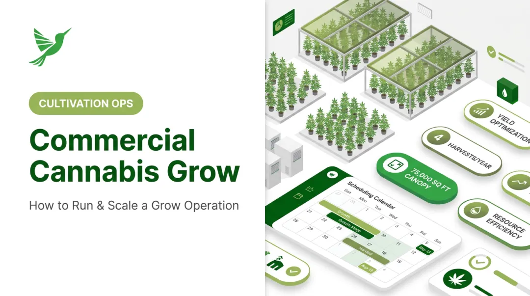 Commercial Cannabis Grow: How to Run & Scale a Grow Operation