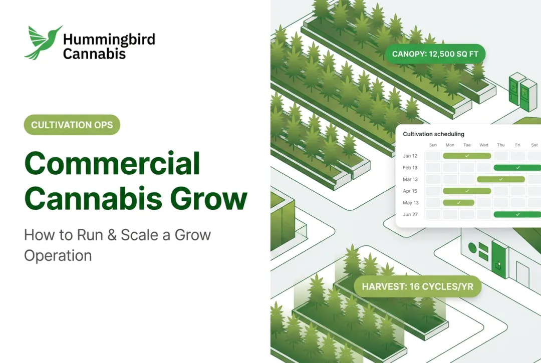 Commercial Cannabis Grow: How to Run & Scale a Grow Operation