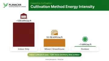 Indoor versus greenhouse versus outdoor cannabis electricity intensity comparison infographic