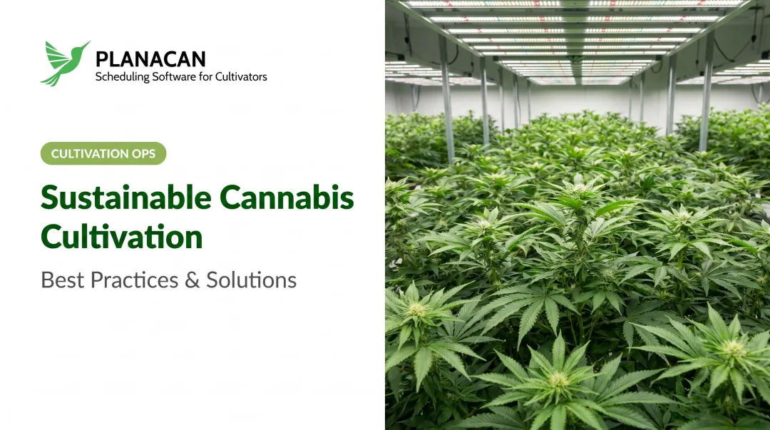Sustainable Cannabis Cultivation: Best Practices & Solutions