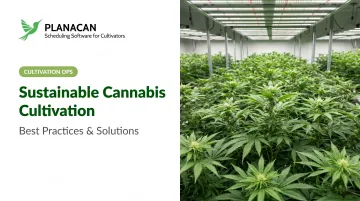 Sustainable Cannabis Cultivation: Best Practices & Solutions