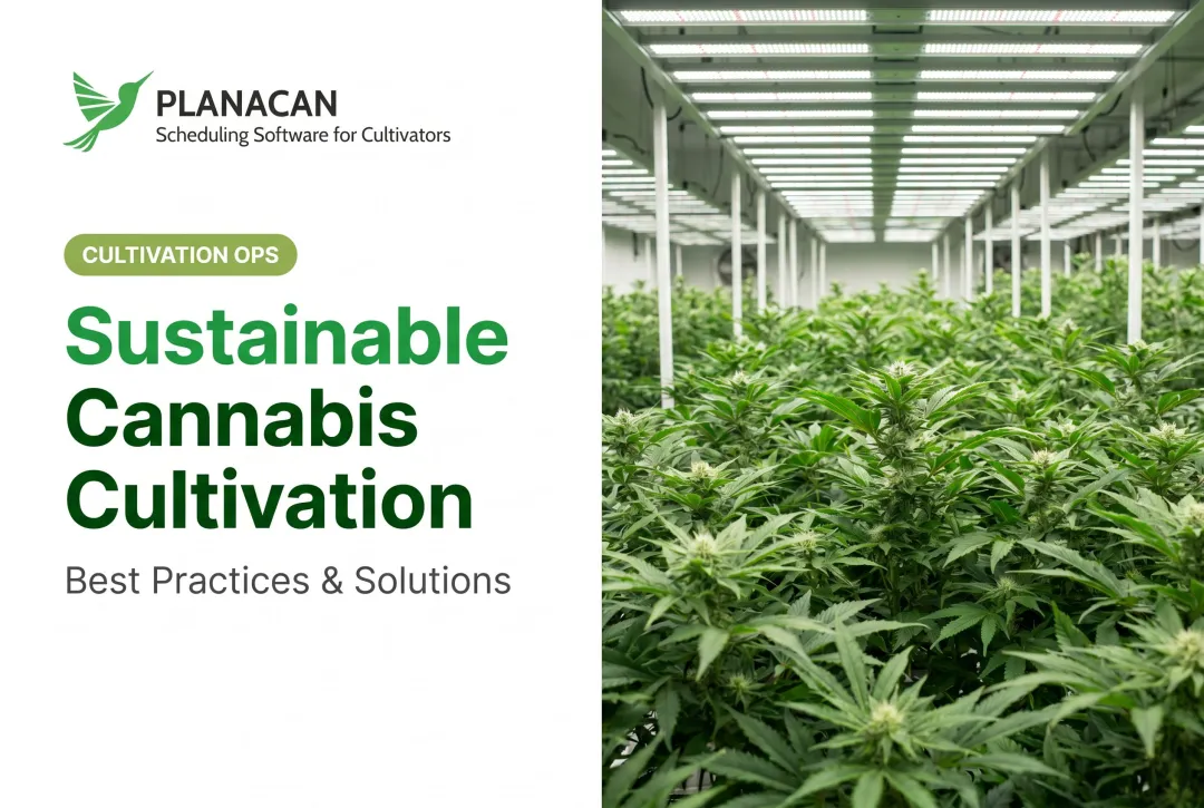 Sustainable Cannabis Cultivation: Best Practices & Solutions