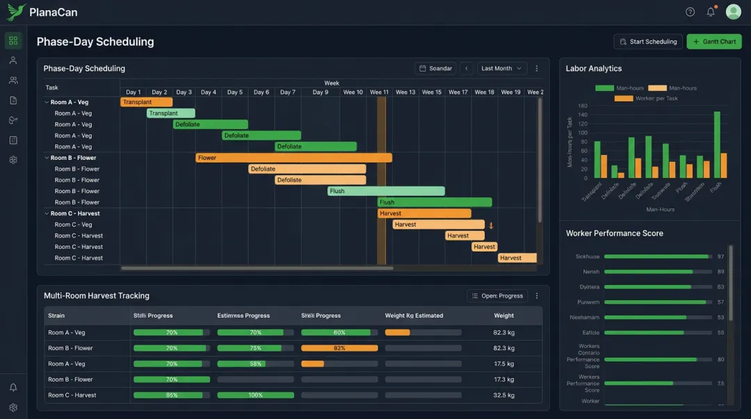 PlanaCan cannabis grow operation scheduling dashboard with phase-day task tracking