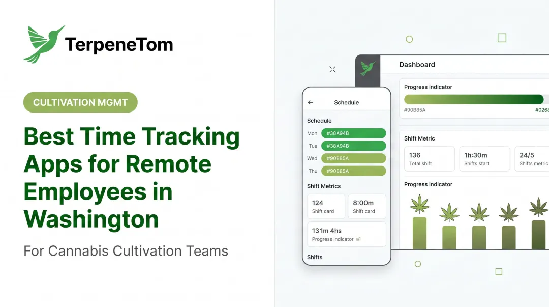 Best Time Tracking Apps for Remote Employees in Washington