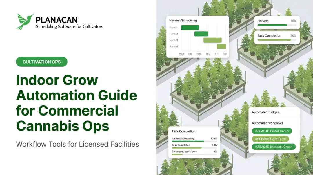 Indoor Grow Automation Guide for Commercial Cannabis Ops