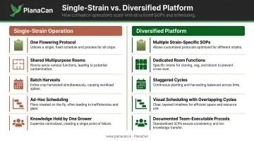 Single-strain cannabis operation versus diversified platform side-by-side comparison infographic