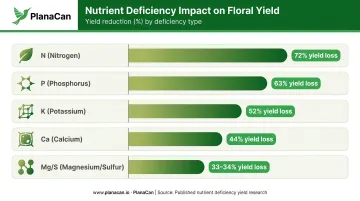 Cannabis nutrient deficiency yield loss percentage comparison infographic by element