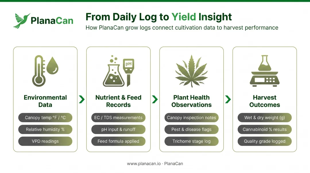 Cannabis harvest cycle data tracking workflow from environment logs to yield outcomes