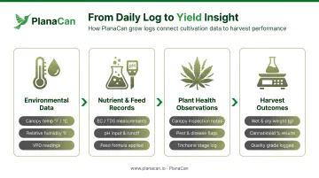 Cannabis harvest cycle data tracking workflow from environment logs to yield outcomes