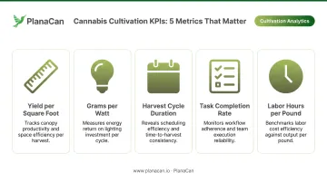 Five essential cannabis cultivation KPIs tracking yield labor and harvest cycle efficiency