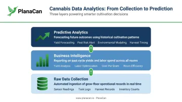 Three-layer cannabis data analytics framework from raw collection to predictive forecasting
