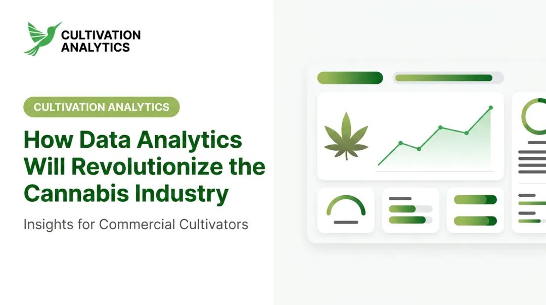 How Data Analytics Will Revolutionize the Cannabis Industry