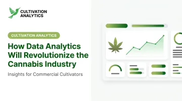 How Data Analytics Will Revolutionize the Cannabis Industry