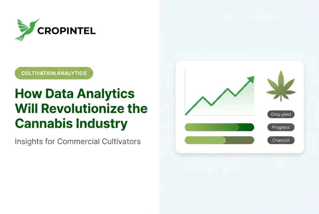 How Data Analytics Will Revolutionize the Cannabis Industry