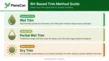 Cannabis trim method selection guide based on drying room relative humidity ranges