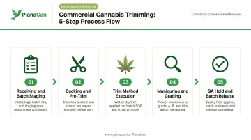 5-step commercial cannabis trimming SOP process flow from receiving to batch release