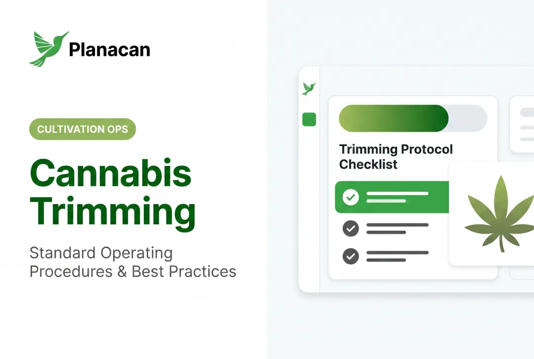 Cannabis Trimming: Standard Operating Procedures & Best Practices