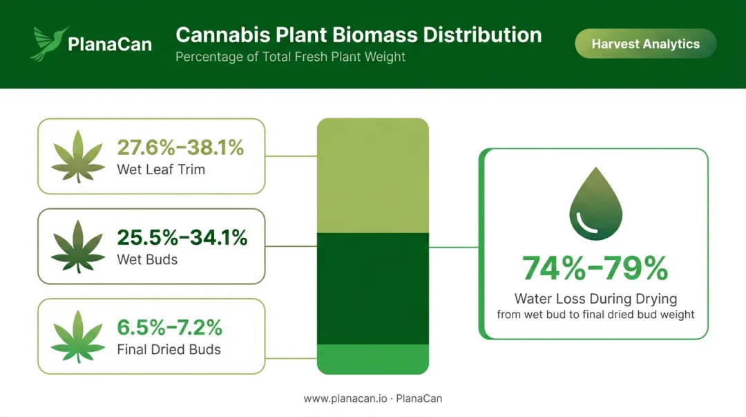 Cannabis plant biomass breakdown fresh weight versus dried flower percentage chart