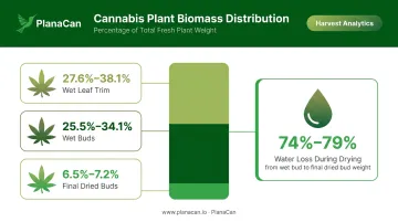 Cannabis plant biomass breakdown fresh weight versus dried flower percentage chart