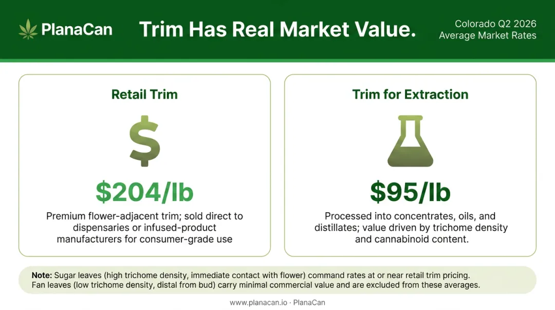 Cannabis trim commercial value comparison retail trim versus extraction trim pricing per pound