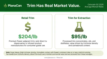 Cannabis trim commercial value comparison retail trim versus extraction trim pricing per pound