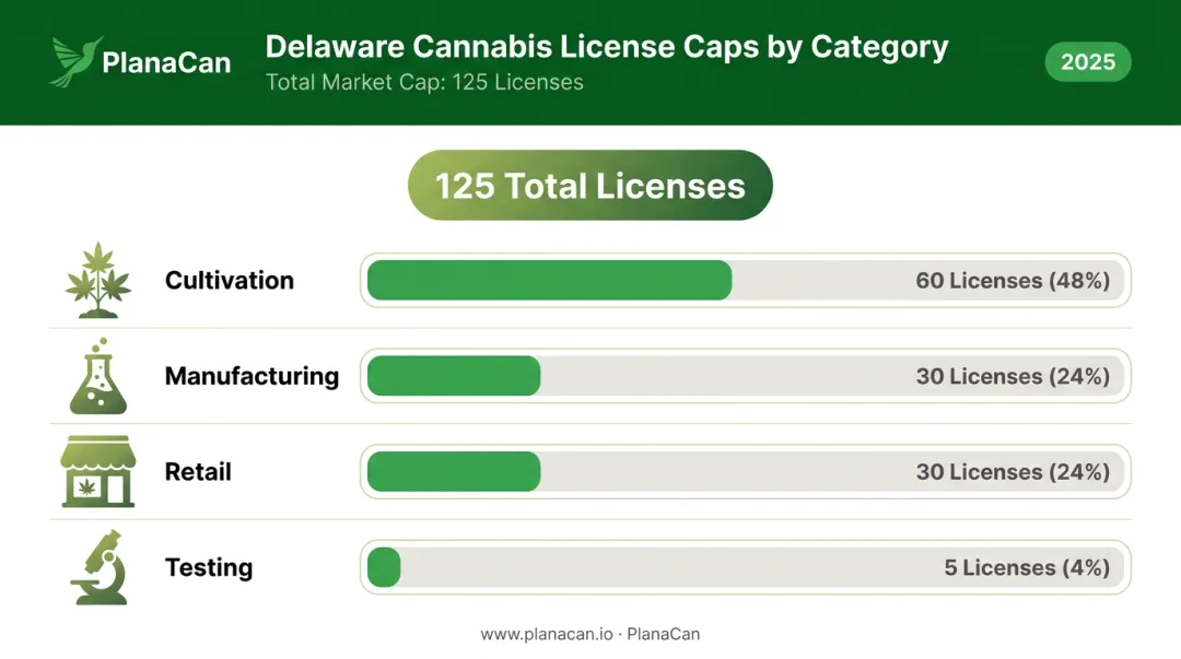 Delaware cannabis license types distribution showing 125 total capped licenses breakdown