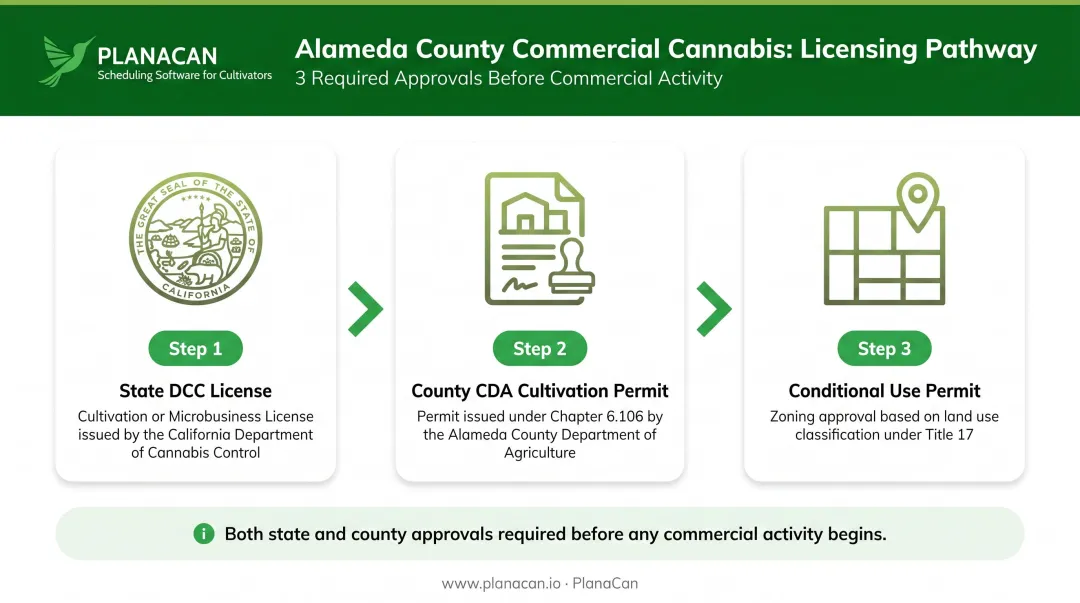 Three-step commercial cannabis cultivation licensing process in Alameda County California