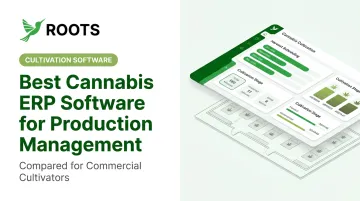 Best Cannabis ERP Software for Production Management