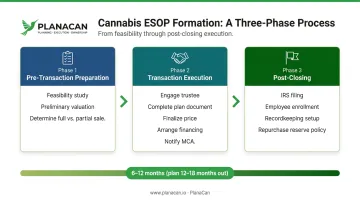 Three-phase cannabis ESOP formation process timeline from feasibility to post-closing