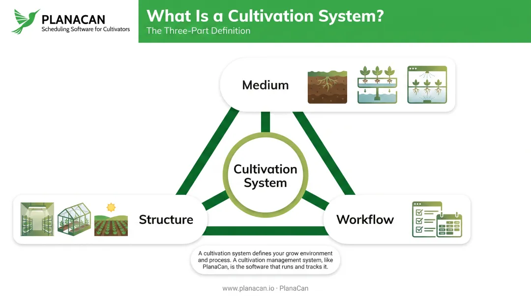 Cultivation system components diagram showing medium structure and workflow