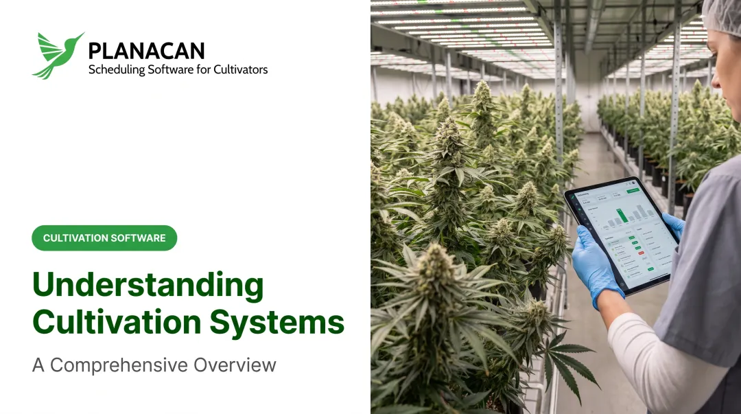 Understanding Cultivation Systems: A Comprehensive Overview