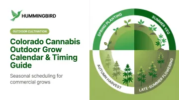 Colorado Cannabis Outdoor Grow Calendar & Timing Guide