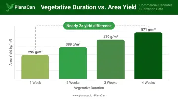 Cannabis veg duration versus yield output comparison bar chart infographic