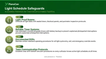 Four commercial cannabis light schedule safeguards checklist process infographic