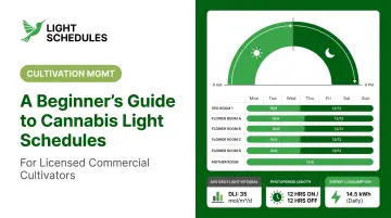 A Beginner's Guide to Cannabis Light Schedules