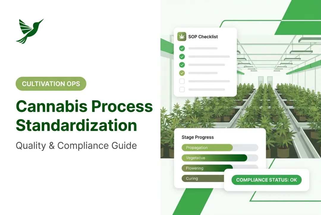 Cannabis Process Standardization: Quality & Compliance Guide