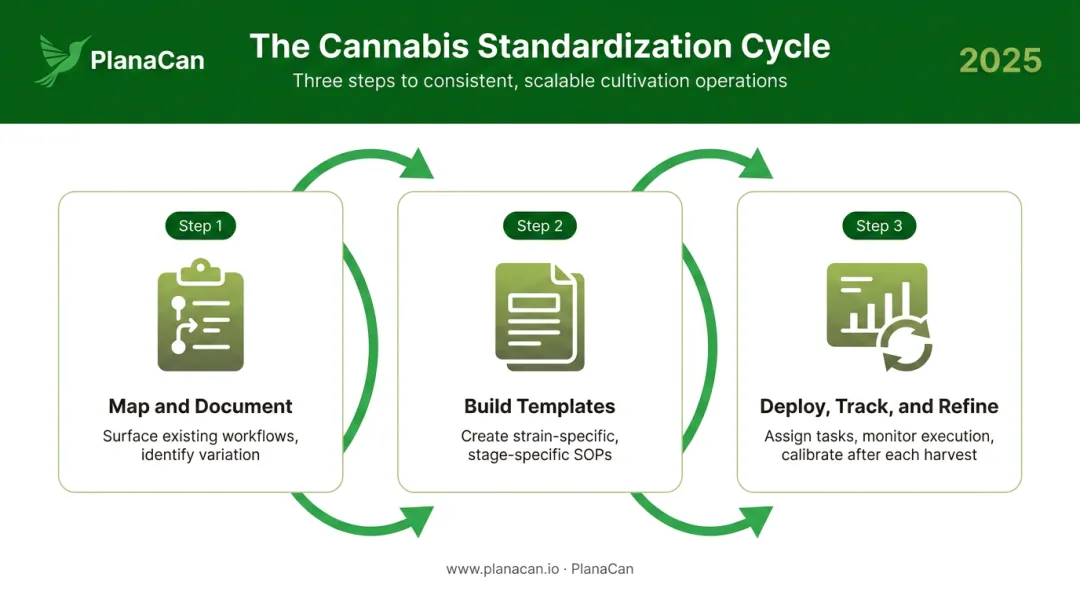 Three-step cannabis process standardization cycle map build deploy refine