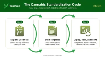 Three-step cannabis process standardization cycle map build deploy refine