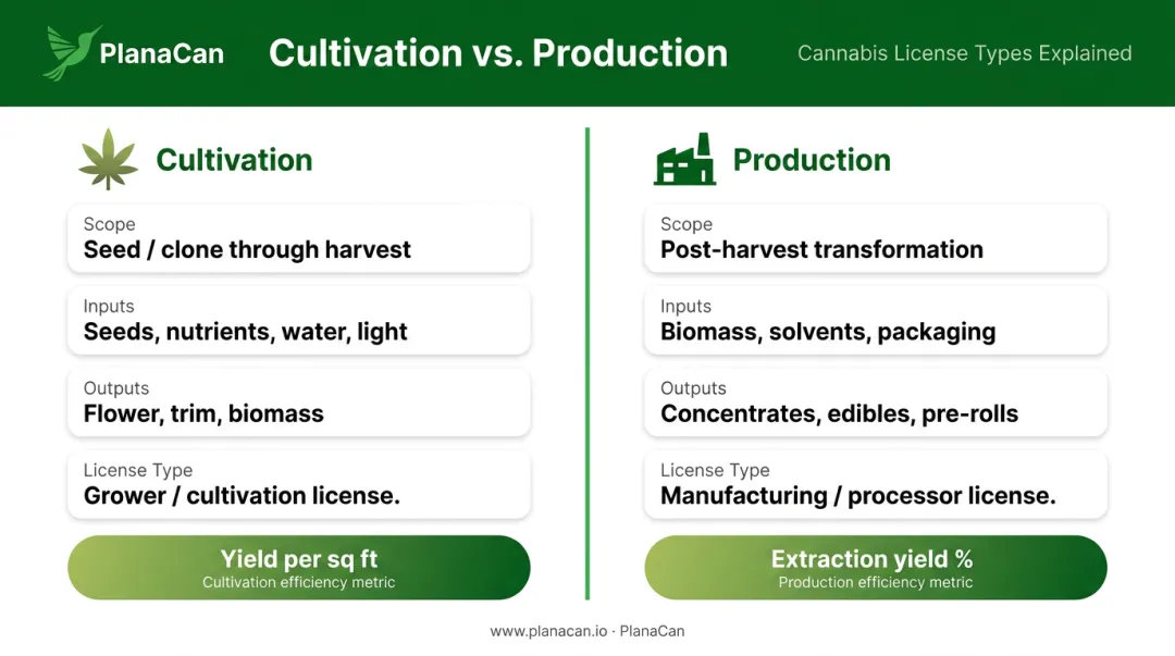 Cannabis cultivation versus production side-by-side comparison of scope inputs outputs and licenses