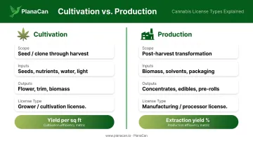 Cannabis cultivation versus production side-by-side comparison of scope inputs outputs and licenses
