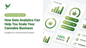 How Data Analytics Can Help You Scale Your Cannabis Business